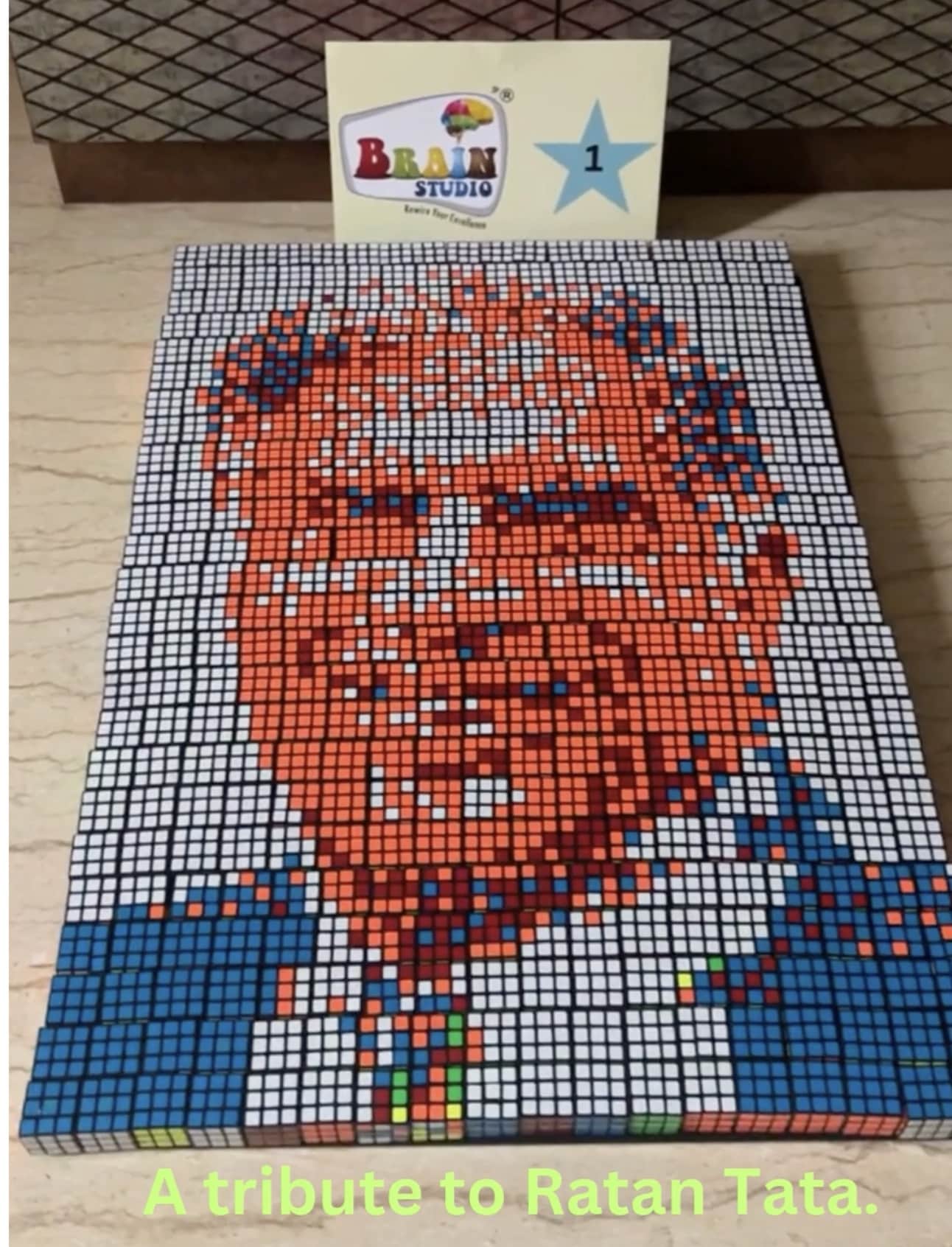 Ratan Tata in Rubiks Cubes